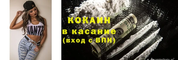 гидра Вязьма