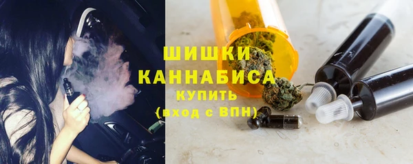 гидра Вязьма