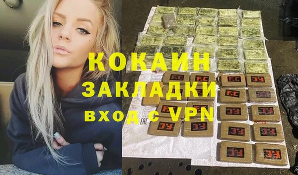гидра Вязьма