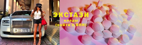гидра Вязьма