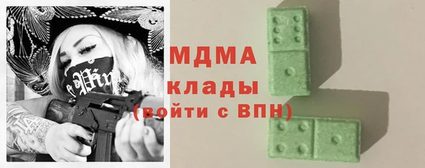 гидра Вязьма