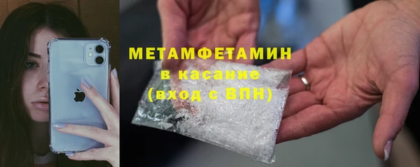 гидра Вязьма