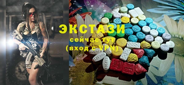 гидра Вязьма