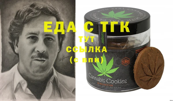 гидра Вязьма