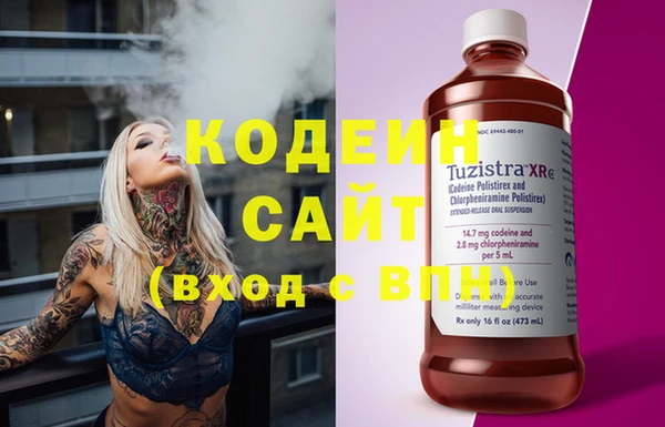 гидра Вязьма
