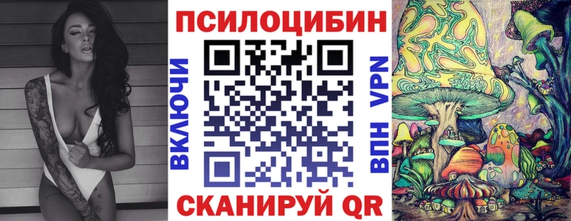 Псилоцибиновые грибы мицелий  наркота  Данилов 
